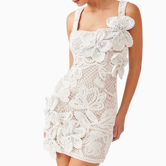 NWT Kyra Crochet Mini Dress - Picture 4 of 5